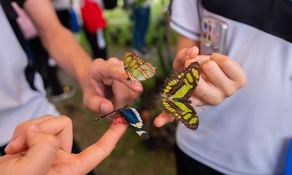 Semana de la Biodiversidad: Cali consolida su liderazgo en protección ambiental en América Latina