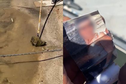 Imagen de  Encuentran amarre con imagen de una joven tras disminución del nivel del embalse en Guatapé