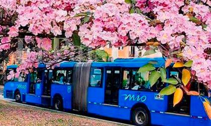 El MIO cambia recorridos: fecha, nuevas rutas, ajustes y fusiones que debe conocer