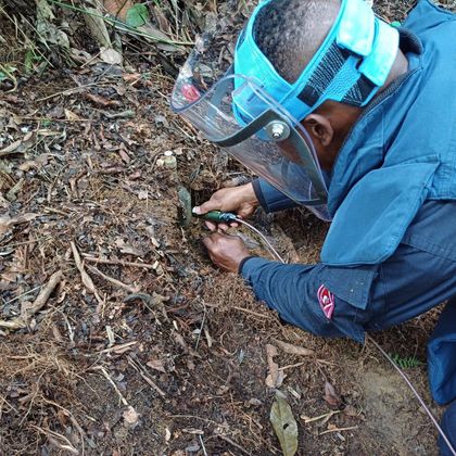 Imagen de  Ejército localizó y destruyó una mina antipersonal en zona rural de San Rafael