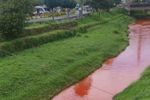 Imagen de Cornare suspendió vertimientos tras contaminación de la quebrada La Marinilla con colorantes para pinturas