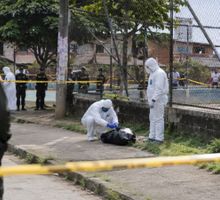Hallan una cabeza humana en un parque de Puerto Tejada