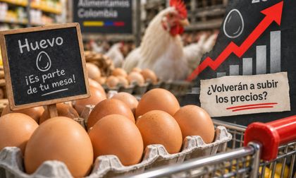 ¿Se acabará la era del huevo barato?