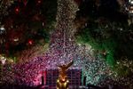 Imagen de Aumentan a cuatro los fallecidos durante festejos por el triunfo de México en el Mundial