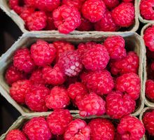 Capturan a mujer señalada por envío de frambuesas con talio a menores en Bogotá