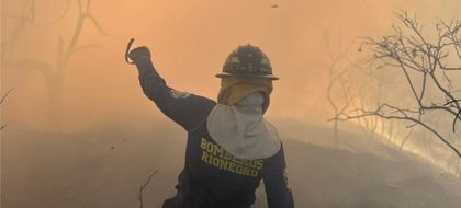 Imagen de  Cuerpo de Bomberos controló un incendio forestal en zona rural de Rionegro