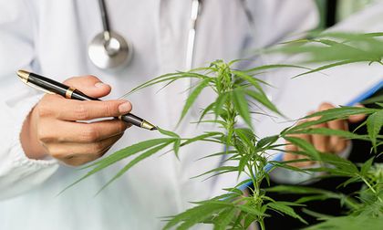 Cali es la sede del primer Congreso Internacional de Cannabis Medicinal