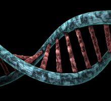 ChromAgeNet detecta envejecimiento en células madre de la sangre