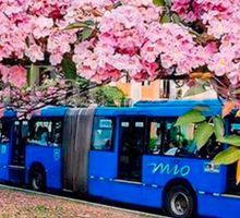 El MIO cambia recorridos: fecha, nuevas rutas, ajustes y fusiones que debe conocer