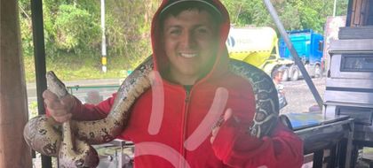 Imagen de  ¡Un héroe! Hombre salvó a una boa de ser atropellada en la autopista Medellín-Bogotá