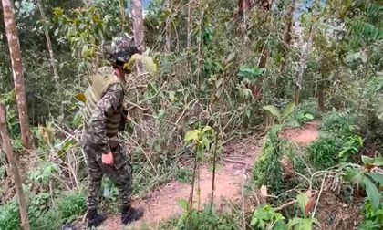 Ejército destruyó 120 minas antipersonas en Argelia