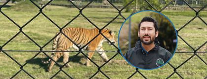 Imagen de  “Investigaremos qué falló del protocolo”: Cornare sobre caso del tigre sacrificado en la Hacienda Nápoles