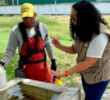 Altas temperaturas aumentan presencia de zancudos en el Valle
