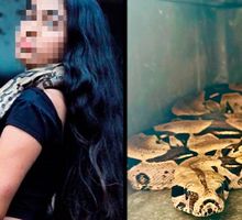 CVC rescata una boa constrictor que era exhibida en redes sociales