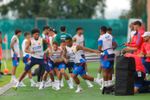 Imagen de Colombia intensifica preparación con miras al debut mundialista ante Uzbekistán