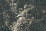 Imagen de Avanza compleja operación para extraer a ocupantes de avioneta en el Tatamá