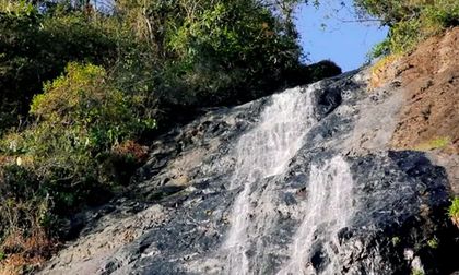 Valle busca mitigar cambio climático