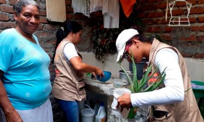 Llamado a eliminar criaderos de zancudos por ola de calor