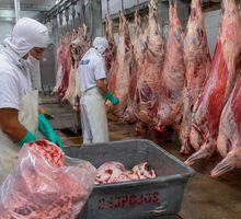 CVC llama a las plantas de beneficio animal a reforzar el manejo de residuos para proteger la salud pública