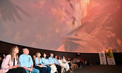 Prográmese para la Colombia Birdfair 2026, la feria de aves más importante del país, que se realizará en Cali