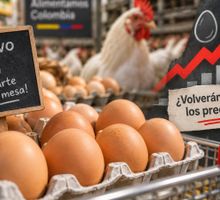 ¿Se acabará la era del huevo barato?