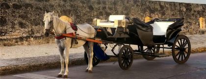 Imagen de  Cartagena deja atrás los coches de tracción animal