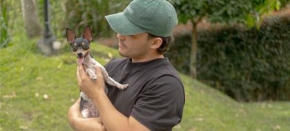 Imagen de Alcaldía de Medellín presentó campaña antipólvora para disfrutar una navidad segura, alegre y responsable