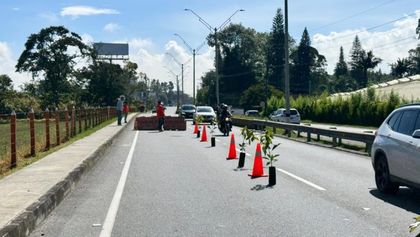 Imagen de Recorte del 60 % al presupuesto y cambios en custodia del germoplasma provocan plantón de Agrosavia