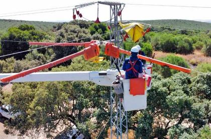 Imagen de Endesa ensaya nuevas tecnologías para proteger a las aves de la red eléctrica