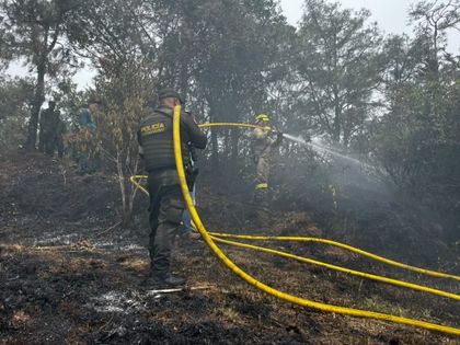 Imagen de  Incendio forestal en Guatapé consumió más de cinco hectáreas de bosque. ¿Qué se sabe?