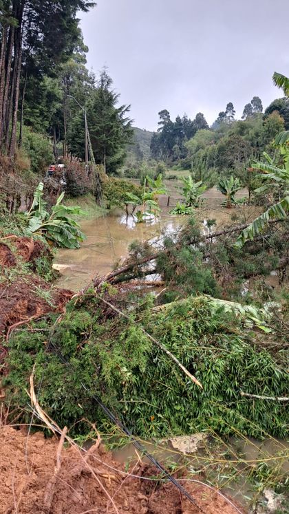 Imagen de El invierno golpea a Guarne: varias vías y viviendas resultaron afectadas