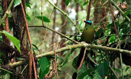 Cali inicia 2026 con su oferta ambiental