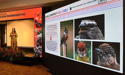 Cali lanzó su Primer foro nacional de turismo de naturaleza regenerativo