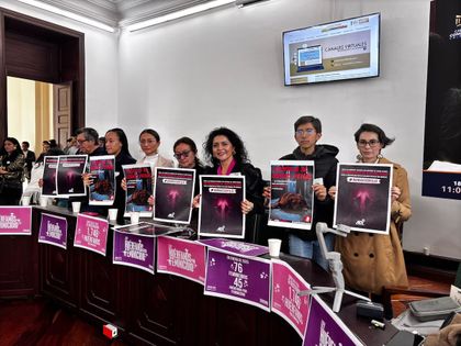 Imagen de  Avanza en el Congreso un proyecto de ley para penalizar la zoofilia en Colombia
