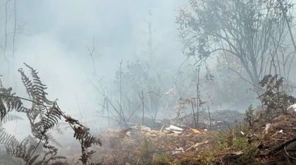 Imagen de Incendio en Rionegro eleva a ocho las emergencias forestales en el departamento
