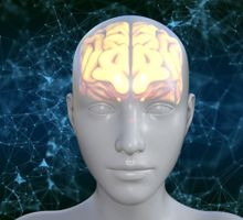 Mapa del genoma cerebral muestra maduración hasta los 24 años