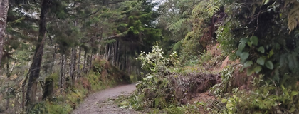 Imagen de  El Carmen atiende emergencias ocasionadas por las fuertes lluvias