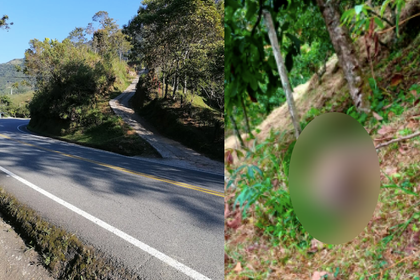 Imagen de  En Cocorná estarían envenenando perros para robar en las viviendas