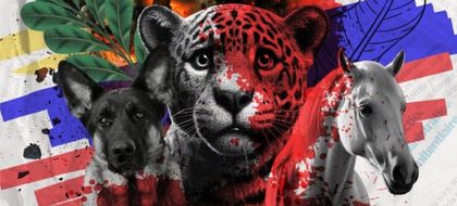 Imagen de Proyecto de ley buscaría declarar animales y ecosistemas como víctimas del conflicto armado